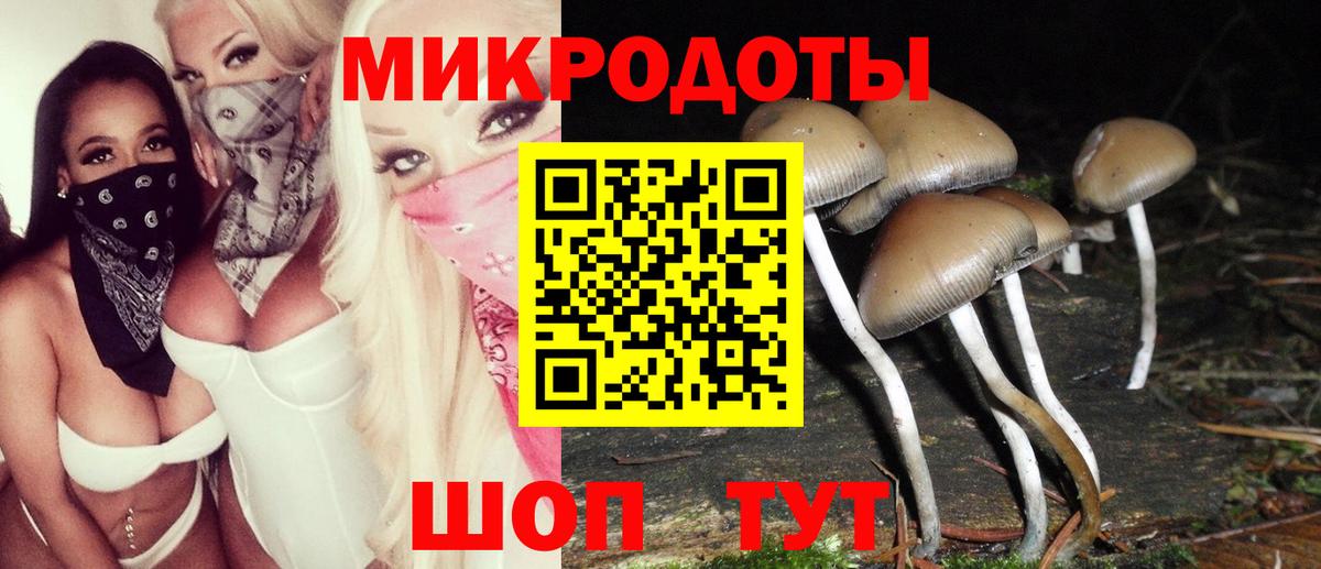 Псилоцибиновые грибы Magic Shrooms  Вход с VPN  Бугуруслан  закладки  Псилоцибиновые грибы Cubensis 